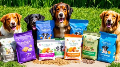 Best Dog Foods for Healthy Skin and Coat in 2025