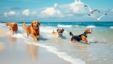 Dog Breeds That Love Water: Perfect for Beach Days